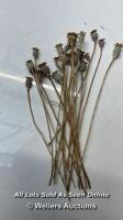 *30 ENGLISH DRIED FLOWER SMALL SEED HEADS - FLORAL DESIGN/CRAFTS ETC