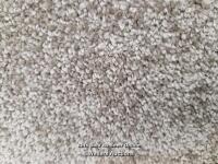 *NEW HATFIELD TAUPE 5M X 16M CARPET ROLL / BACKING: SECONDARY / PILE HEIGHT: 11 / TOTAL HEIGHT: 13 / COLOUR SHADE: TAUPE (BETWEEN BROWN AND GREY) / ROLL LENGTH: 16M / ROLL WIDTH: 5M / TOTAL ROLL COVERAGE: 80 M2 / RRP: £19.99 PER M2 / TOTAL RRP: £1,600 / C